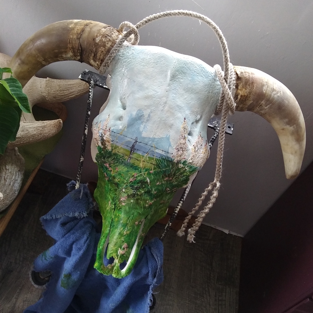 Handpainted Horned Bull Skull